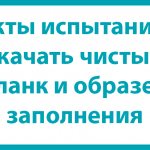 Báo cáo thử nghiệm: tải xuống biểu mẫu trống và điền mẫu