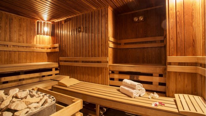 Sauna stoves with a water tank - Media section