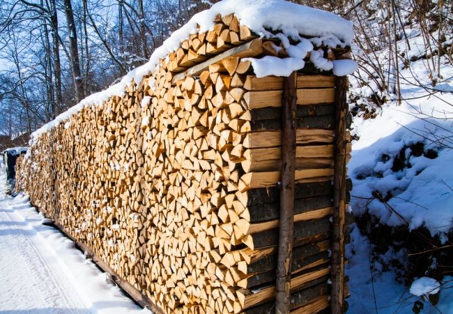 Briketes vai granulas. Kas ir izdevīgāk ražot