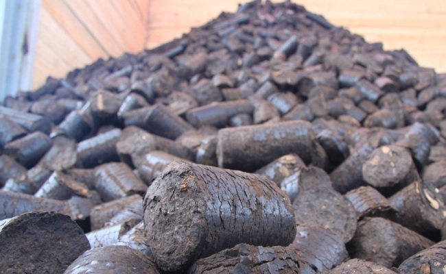 Peat briquettes