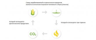 Produs ecologic, biocombustibil.