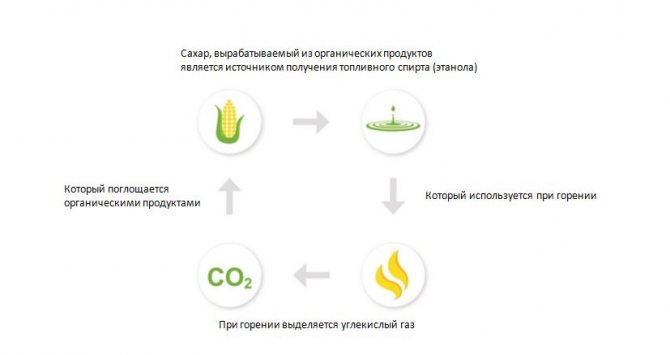 Ekologický produkt, biopalivo.