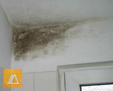 flexible bathroom mold waterproofing