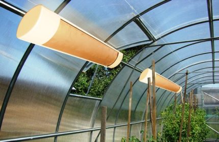 Infrared lamp in a greenhouse