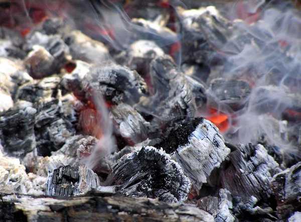 La producción de carbón vegetal es una dirección prometedora