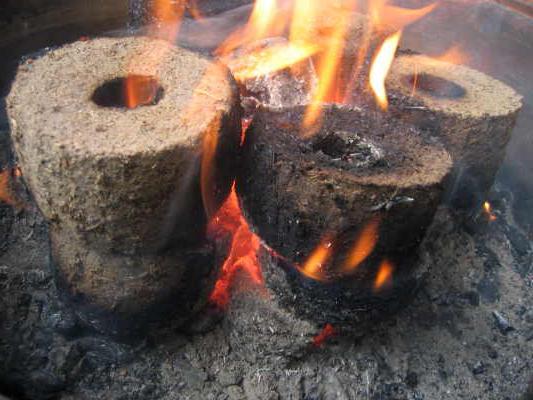 hacer briquetas de combustible en casa