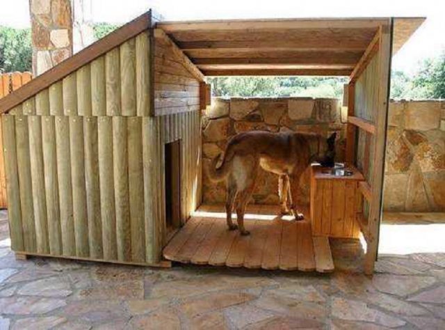 How and what to insulate a doghouse for the winter inside the photo