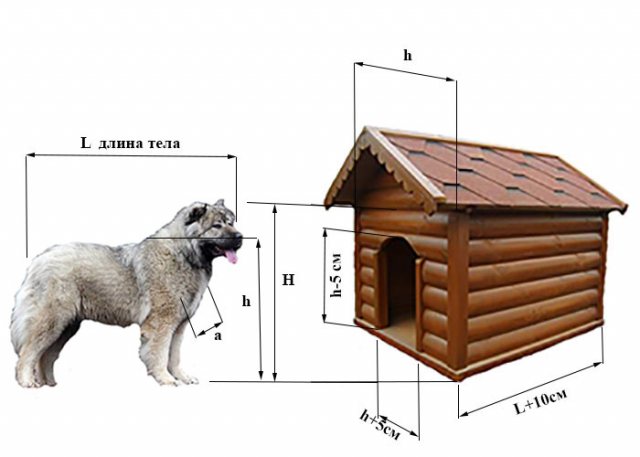 Paano at kung ano ang insulate ng isang doghouse para sa taglamig sa loob ng larawan