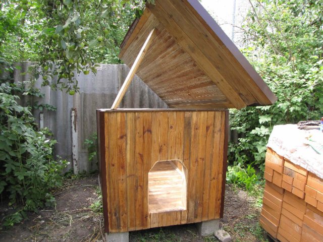 How and what to insulate a doghouse for the winter inside the photo