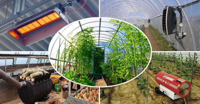 How to provide heating for the greenhouse in winter with your own hands