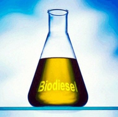 How to get biodiesel with your own hands at home