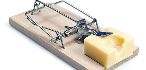 Mousetrap