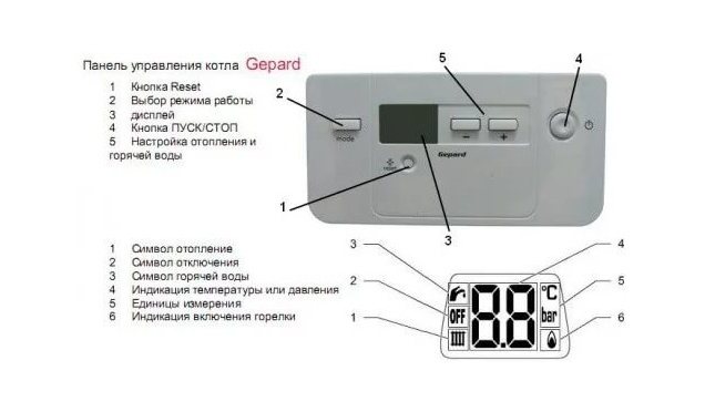 setarea ghepardului proterm