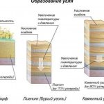 Coal formation