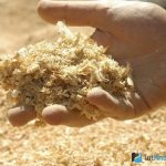 Sawdust for ceiling insulation