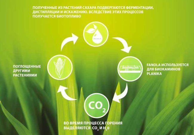 Jak działają biopaliwa