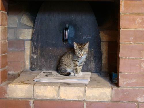 Adalah dipercayai bahawa kucing merasakan tempat yang buruk dan menjauhinya. Mereka nampaknya menyetujui ketuhar bata.