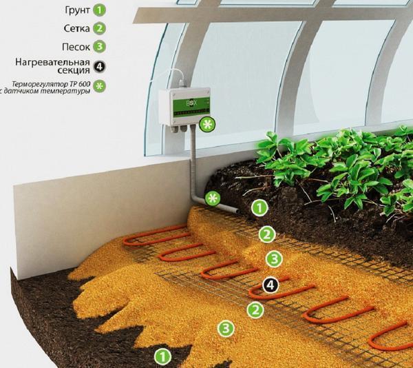 Among the advantages of an electric cable for heating the ground in a greenhouse, it is worth noting efficiency and a long service life.