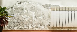 dampness and mold in the apartment