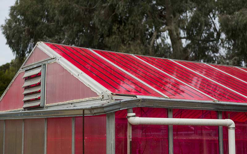 WSPV-zonnepaneeltechnologie voor kassen