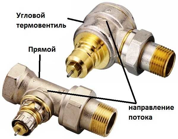 Thermal head for heating radiator