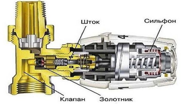 Thermal head for heating radiator