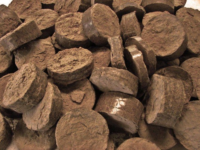 Mga fuel briquette: kagamitan sa teknolohiya at teknolohiya