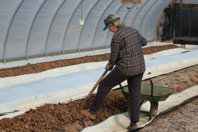 greenhouse insulation