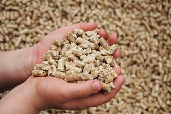 Selezione di caldaie a pellet. Come installare una caldaia a pellet