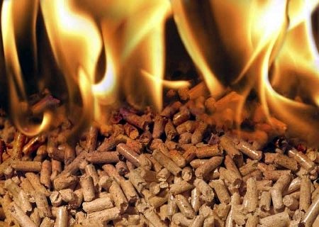 Selezione di caldaie a pellet. Come installare una caldaia a pellet